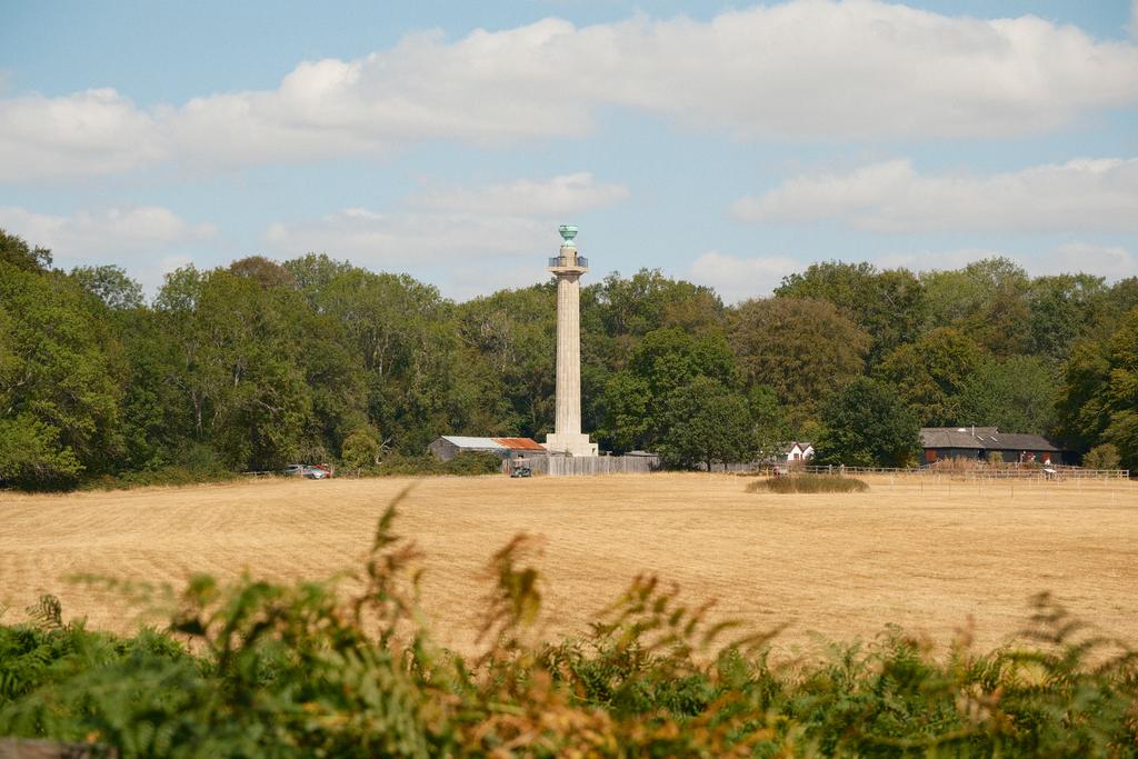 DSCF3555.jpg