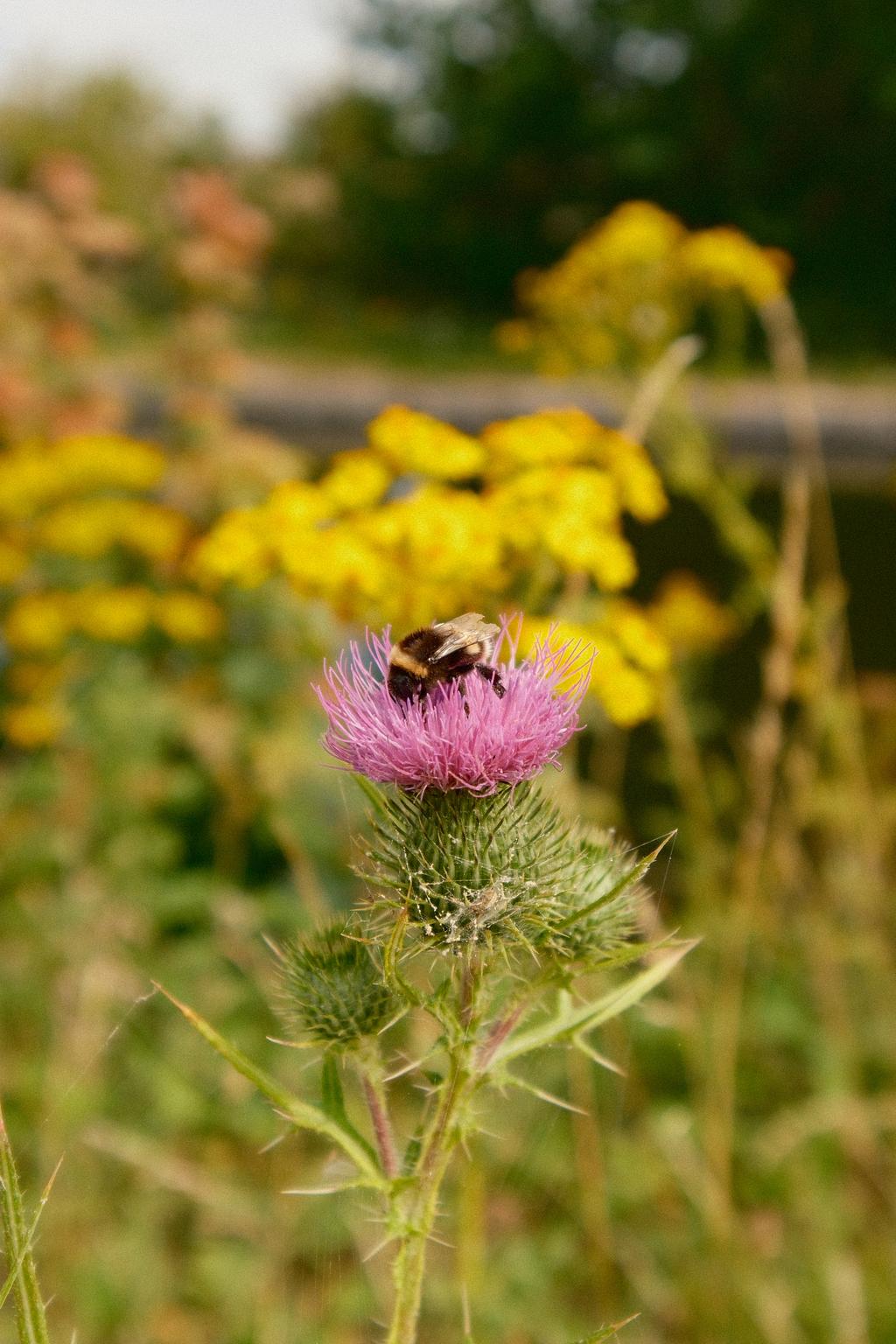 DSCF3188.jpg